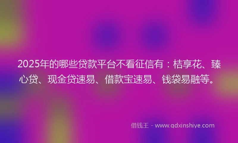 2025年的哪些贷款平台不看征信有：桔享花、臻心贷、现金贷速易、借款宝速易、钱袋易融等。