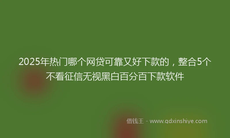 2025年热门哪个网贷可靠又好下款的，整合5个不看征信无视黑白百分百下款软件