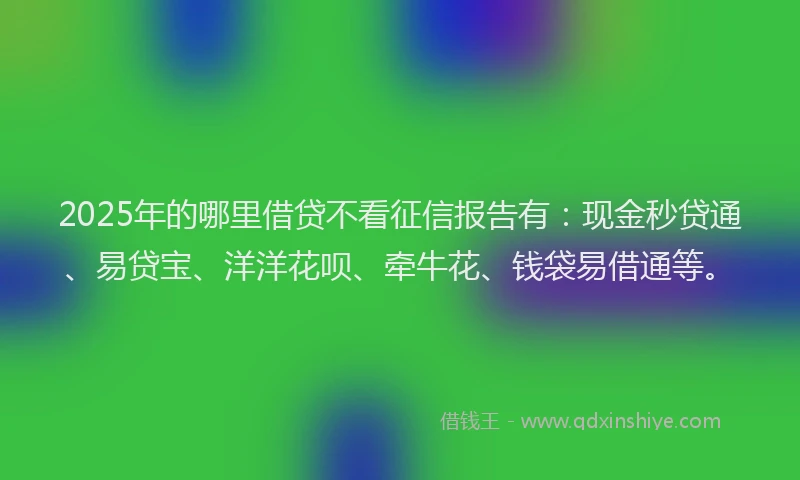 2025年的哪里借贷不看征信报告有：现金秒贷通、易贷宝、洋洋花呗、牵牛花、钱袋易借通等。