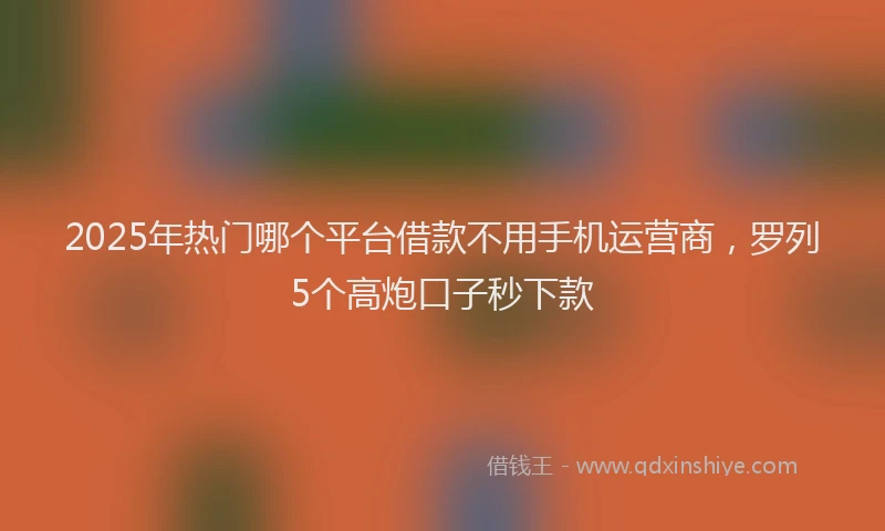 2025年热门哪个平台借款不用手机运营商，罗列5个高炮口子秒下款