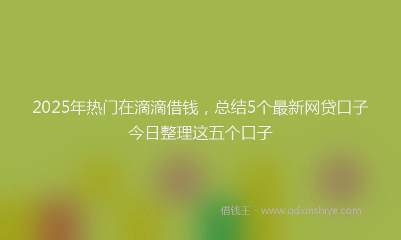 2025年热门在滴滴借钱，总结5个最新网贷口子今日整理这五个口子