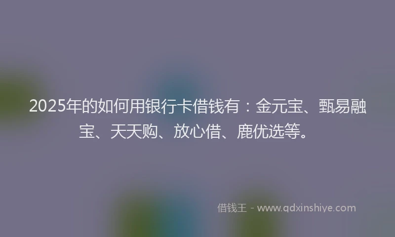 2025年的如何用银行卡借钱有：金元宝、甄易融宝、天天购、放心借、鹿优选等。