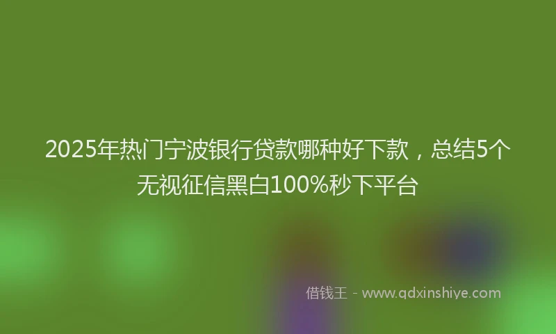 2025年热门宁波银行贷款哪种好下款，总结5个无视征信黑白100%秒下平台
