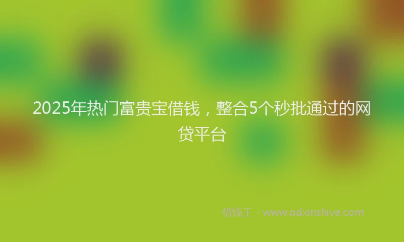 2025年热门富贵宝借钱，整合5个秒批通过的网贷平台