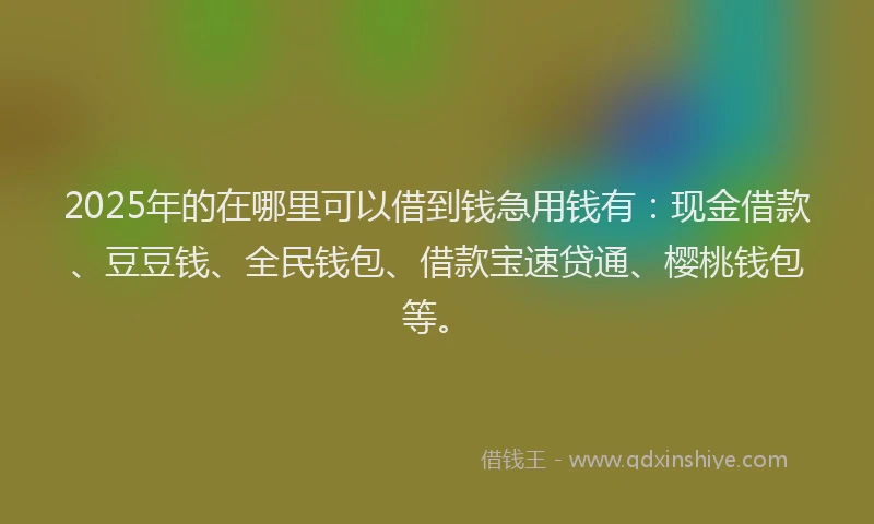 2025年的在哪里可以借到钱急用钱有：现金借款、豆豆钱、全民钱包、借款宝速贷通、樱桃钱包等。