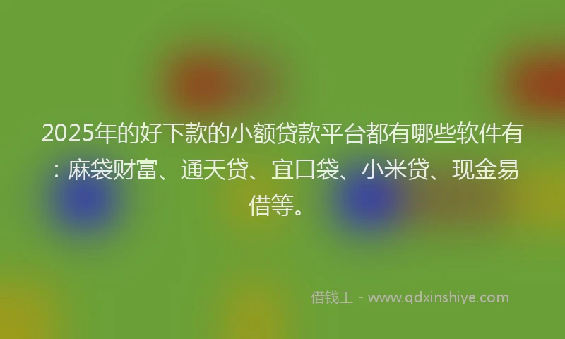 2025年的好下款的小额贷款平台都有哪些软件有：麻袋财富、通天贷、宜口袋、小米贷、现金易借等。