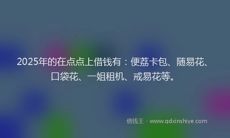 2025年的在点点上借钱有：便荔卡包、随易花、口袋花、一姐租机、戒易花等。