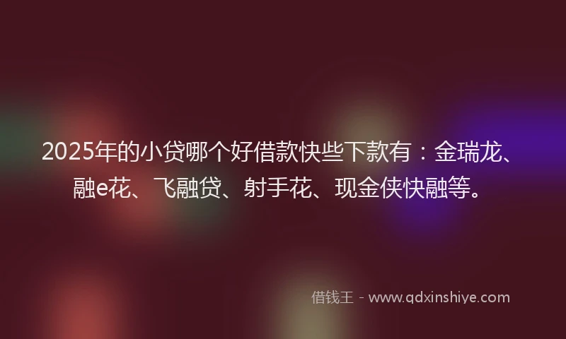 2025年的小贷哪个好借款快些下款有：金瑞龙、融e花、飞融贷、射手花、现金侠快融等。