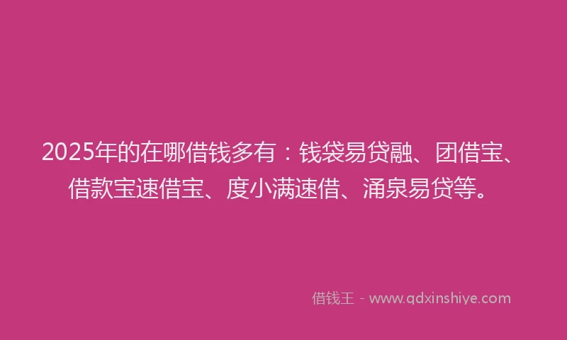 2025年的在哪借钱多有：钱袋易贷融、团借宝、借款宝速借宝、度小满速借、涌泉易贷等。