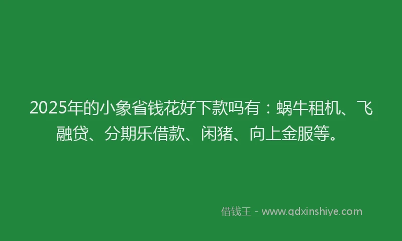 2025年的小象省钱花好下款吗有：蜗牛租机、飞融贷、分期乐借款、闲猪、向上金服等。