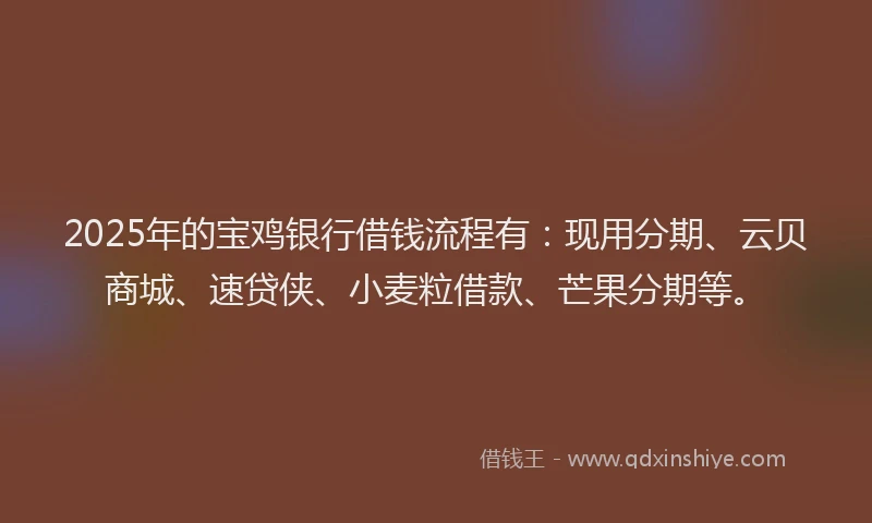 2025年的宝鸡银行借钱流程有：现用分期、云贝商城、速贷侠、小麦粒借款、芒果分期等。