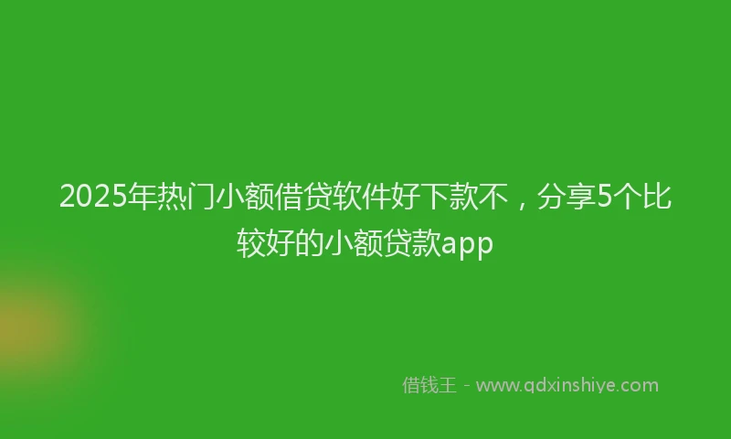 2025年热门小额借贷软件好下款不，分享5个比较好的小额贷款app