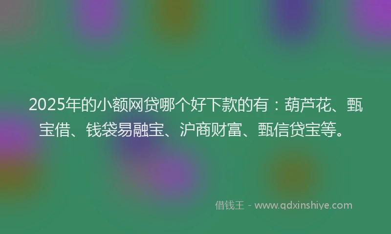 2025年的小额网贷哪个好下款的有：葫芦花、甄宝借、钱袋易融宝、沪商财富、甄信贷宝等。