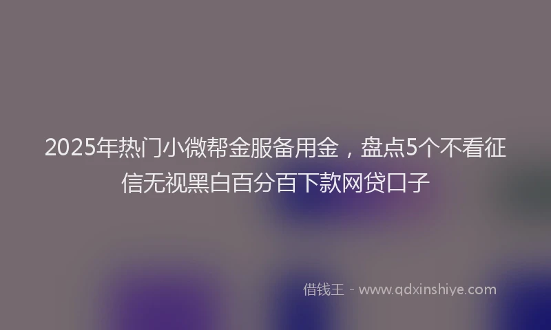 2025年热门小微帮金服备用金，盘点5个不看征信无视黑白百分百下款网贷口子
