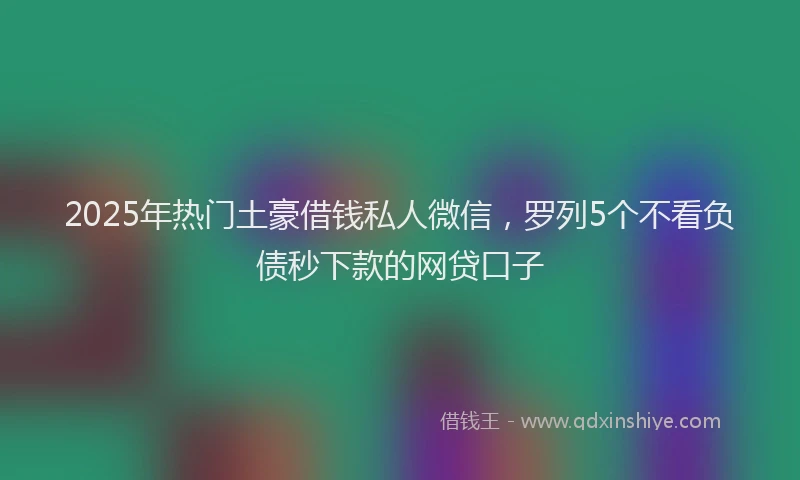 2025年热门土豪借钱私人微信，罗列5个不看负债秒下款的网贷口子