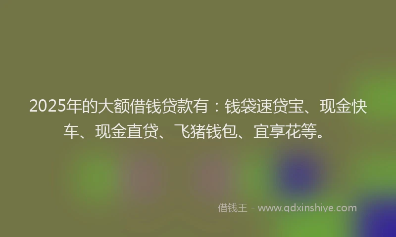 2025年的大额借钱贷款有：钱袋速贷宝、现金快车、现金直贷、飞猪钱包、宜享花等。