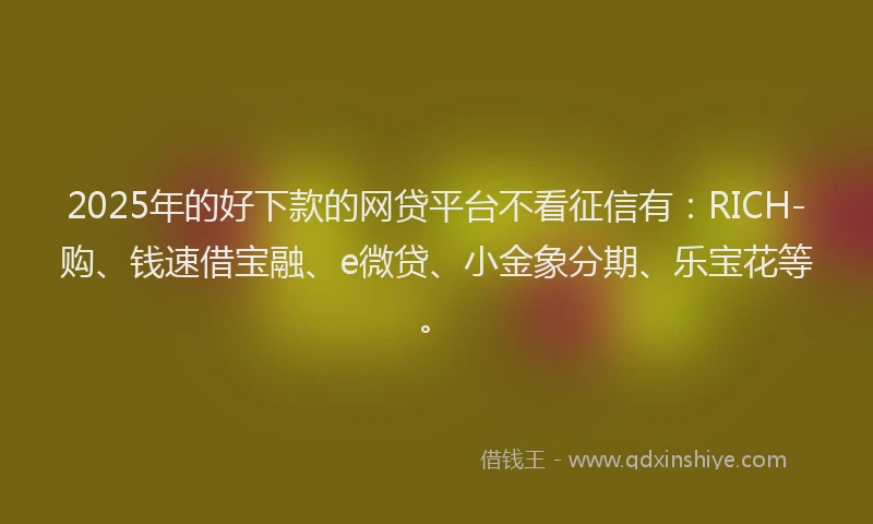 2025年的好下款的网贷平台不看征信有：RICH-购、钱速借宝融、e微贷、小金象分期、乐宝花等。