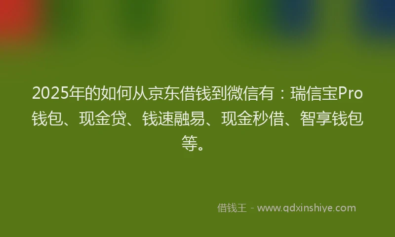 2025年的如何从京东借钱到微信有:瑞信宝Pro钱包、现金贷、钱速融易、现金秒借、智享钱包等。