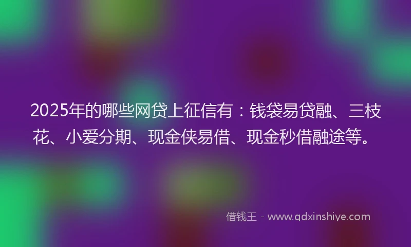 2025年的哪些网贷上征信有：钱袋易贷融、三枝花、小爱分期、现金侠易借、现金秒借融途等。