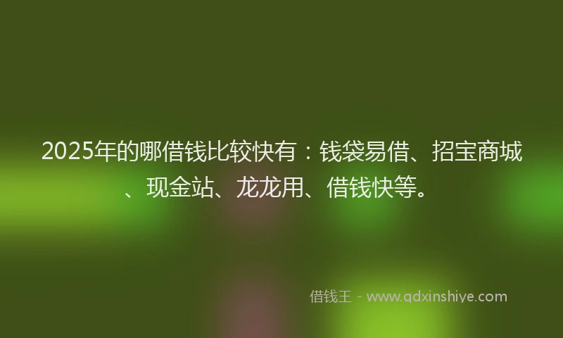 2025年的哪借钱比较快有：钱袋易借、招宝商城、现金站、龙龙用、借钱快等。