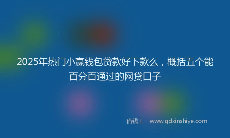2025年热门小赢钱包贷款好下款么，概括五个能百分百通过的网贷口子