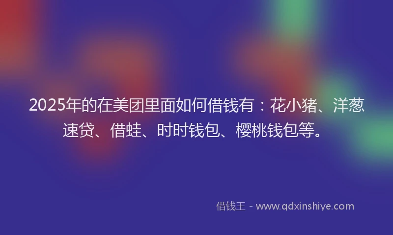 2025年的在美团里面如何借钱有：花小猪、洋葱速贷、借蛙、时时钱包、樱桃钱包等。