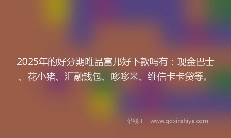 2025年的好分期唯品富邦好下款吗有：现金巴士、花小猪、汇融钱包、哆哆米、维信卡卡贷等。