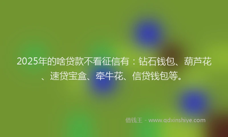 2025年的啥贷款不看征信有：钻石钱包、葫芦花、速贷宝盒、牵牛花、信贷钱包等。