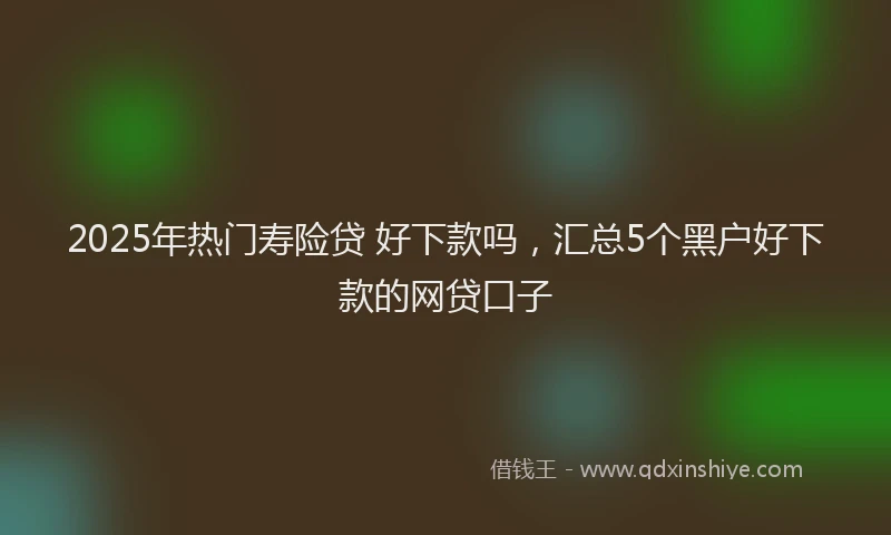 2025年热门寿险贷 好下款吗，汇总5个黑户好下款的网贷口子