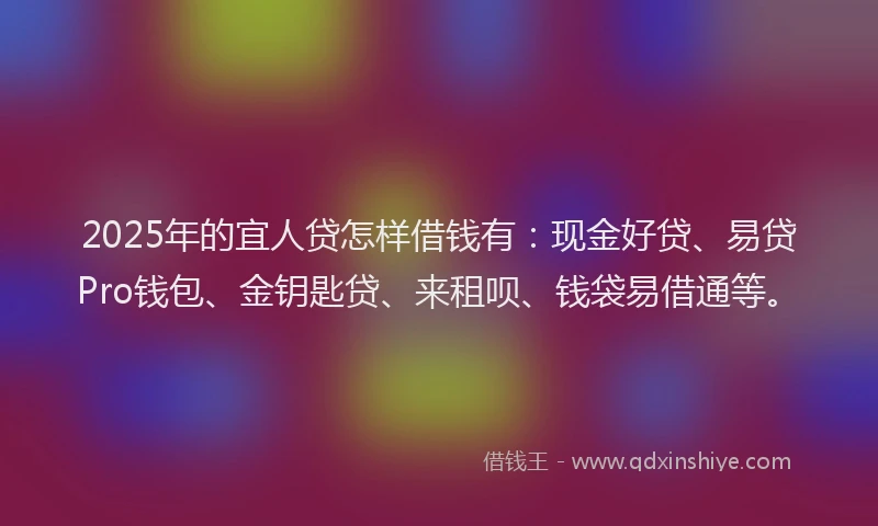 2025年的宜人贷怎样借钱有：现金好贷、易贷Pro钱包、金钥匙贷、来租呗、钱袋易借通等。