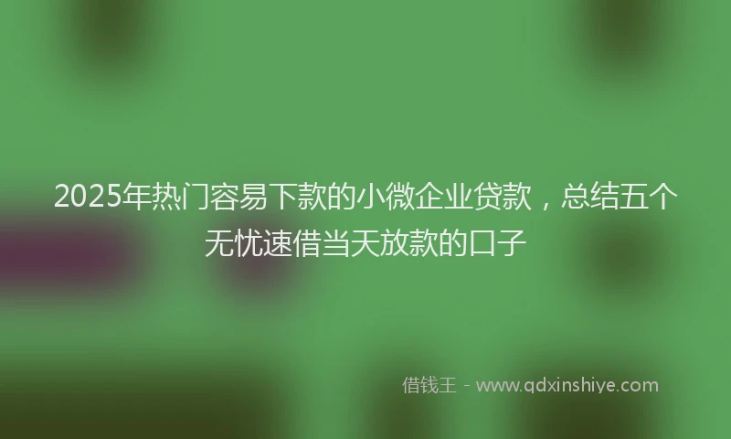 2025年热门容易下款的小微企业贷款，总结五个无忧速借当天放款的口子