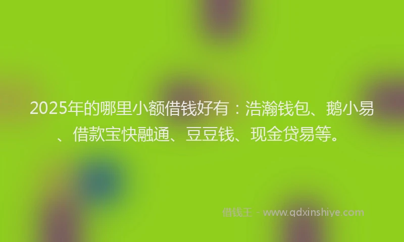 2025年的哪里小额借钱好有：浩瀚钱包、鹅小易、借款宝快融通、豆豆钱、现金贷易等。