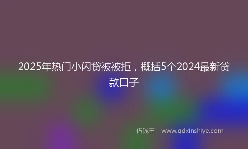2025年热门小闪贷被被拒，概括5个2024最新贷款口子