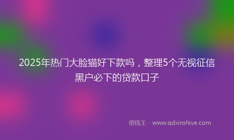 2025年热门大脸猫好下款吗，整理5个无视征信黑户必下的贷款口子