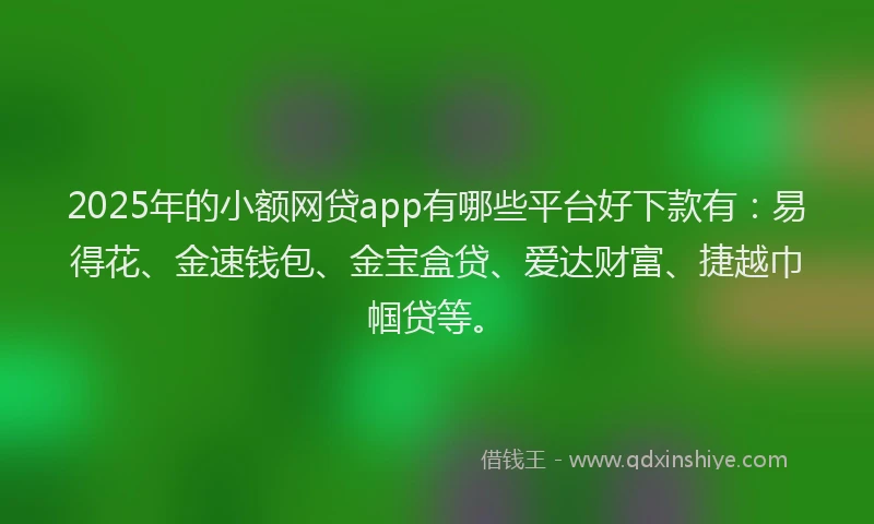2025年的小额网贷app有哪些平台好下款有：易得花、金速钱包、金宝盒贷、爱达财富、捷越巾帼贷等。