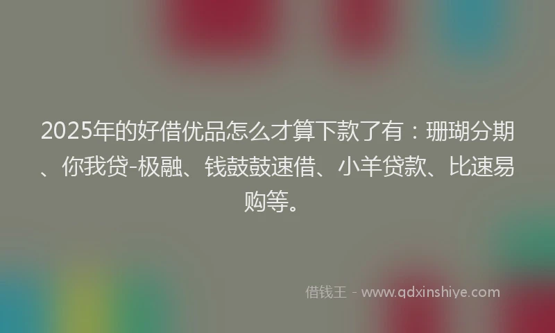2025年的好借优品怎么才算下款了有：珊瑚分期、你我贷-极融、钱鼓鼓速借、小羊贷款、比速易购等。