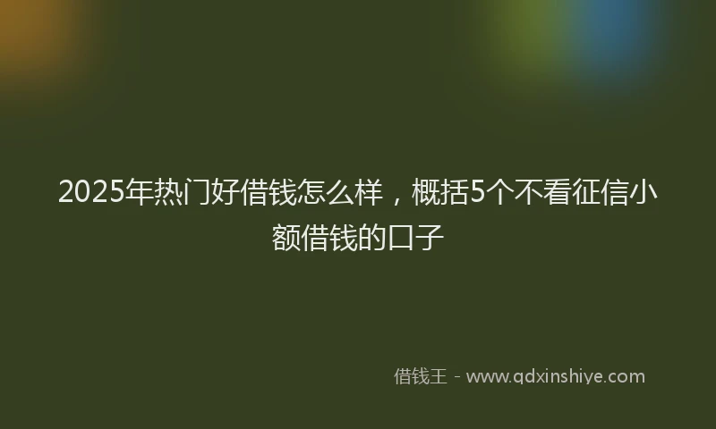 2025年热门好借钱怎么样，概括5个不看征信小额借钱的口子