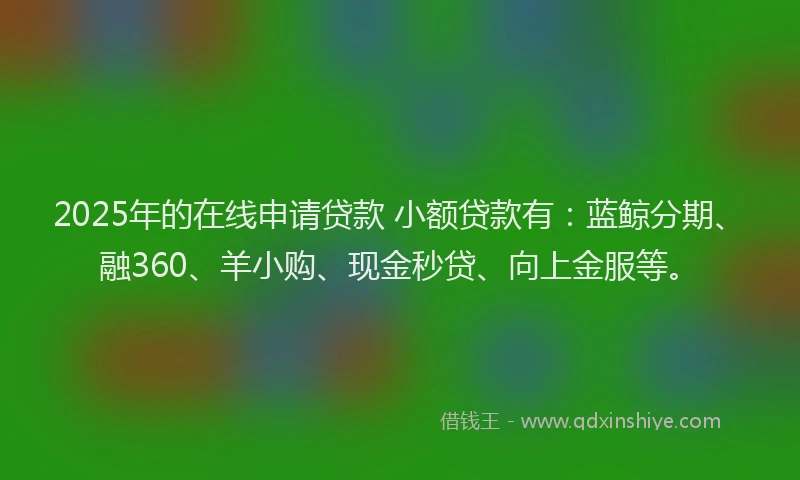 2025年的在线申请贷款 小额贷款有：蓝鲸分期、融360、羊小购、现金秒贷、向上金服等。