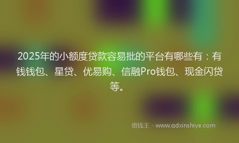 2025年的小额度贷款容易批的平台有哪些有：有钱钱包、星贷、优易购、信融Pro钱包、现金闪贷等。