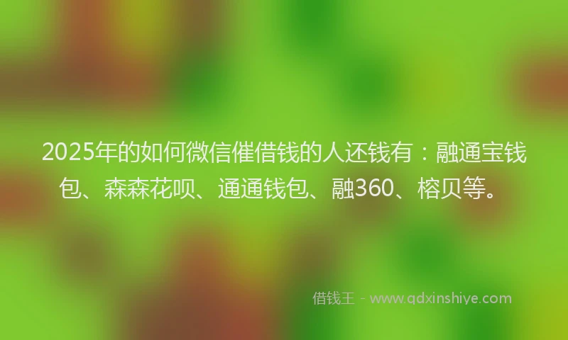 2025年的如何微信催借钱的人还钱有：融通宝钱包、森森花呗、通通钱包、融360、榕贝等。