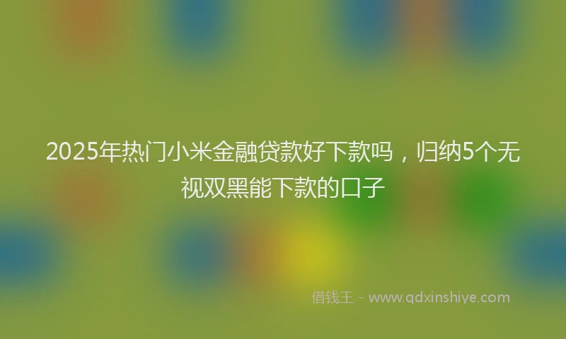 2025年热门小米金融贷款好下款吗，归纳5个无视双黑能下款的口子