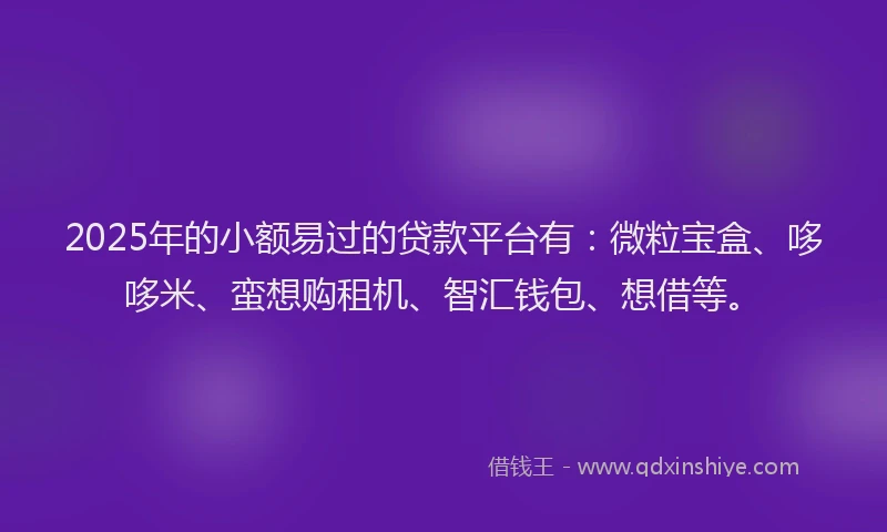 2025年的小额易过的贷款平台有：微粒宝盒、哆哆米、蛮想购租机、智汇钱包、想借等。