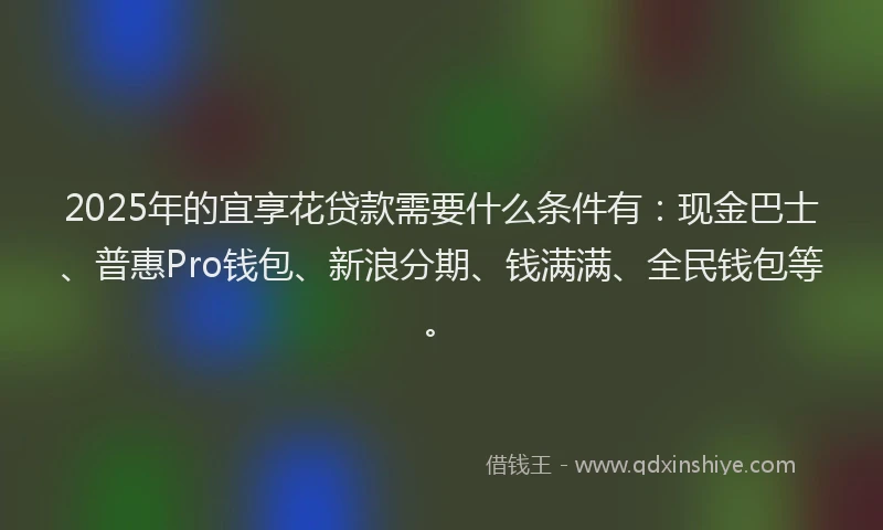 2025年的宜享花贷款需要什么条件有：现金巴士、普惠Pro钱包、新浪分期、钱满满、全民钱包等。