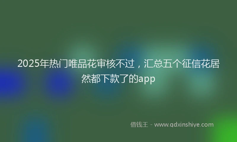 2025年热门唯品花审核不过，汇总五个征信花居然都下款了的app