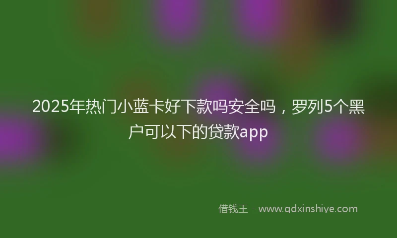 2025年热门小蓝卡好下款吗安全吗，罗列5个黑户可以下的贷款app