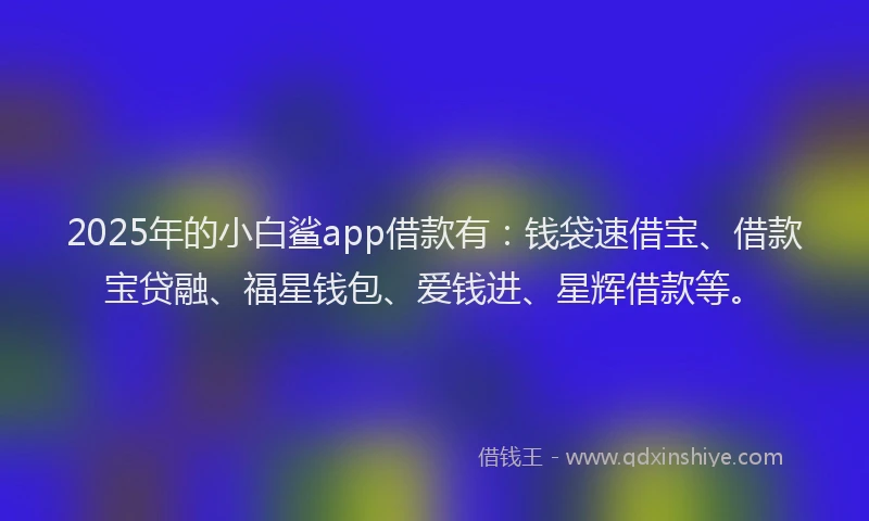 2025年的小白鲨app借款有：钱袋速借宝、借款宝贷融、福星钱包、爱钱进、星辉借款等。