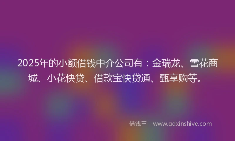2025年的小额借钱中介公司有:金瑞龙、雪花商城、小花快贷、借款宝快贷通、甄享购等。
