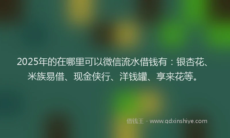 2025年的在哪里可以微信流水借钱有：银杏花、米族易借、现金侠行、洋钱罐、享来花等。
