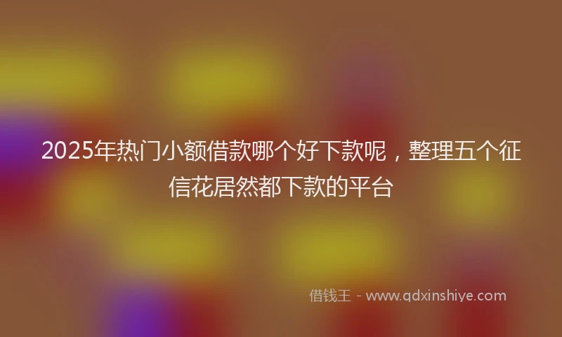 2025年热门小额借款哪个好下款呢，整理五个征信花居然都下款的平台