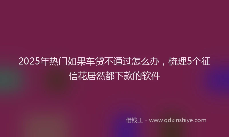 2025年热门如果车贷不通过怎么办，梳理5个征信花居然都下款的软件
